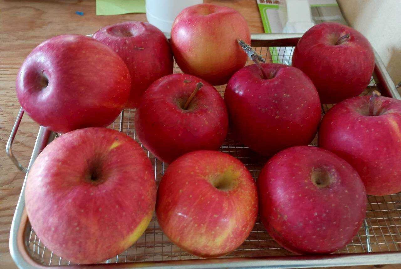 12月って何かと忙しい