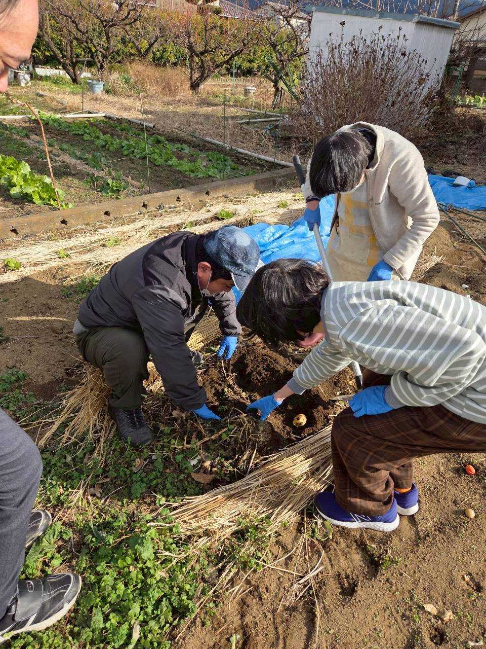 寒い日が続きますね…