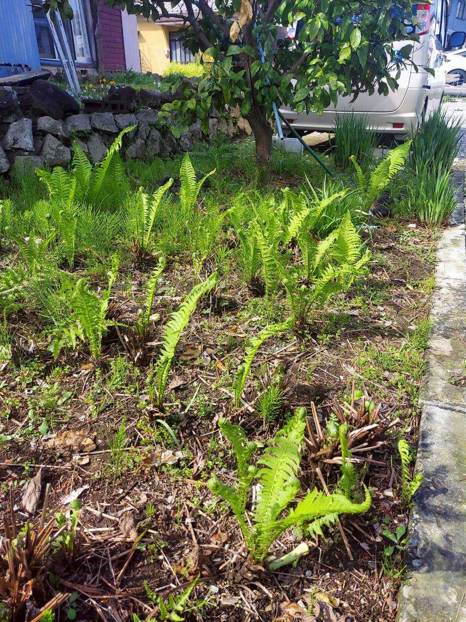 令和8年度突入!