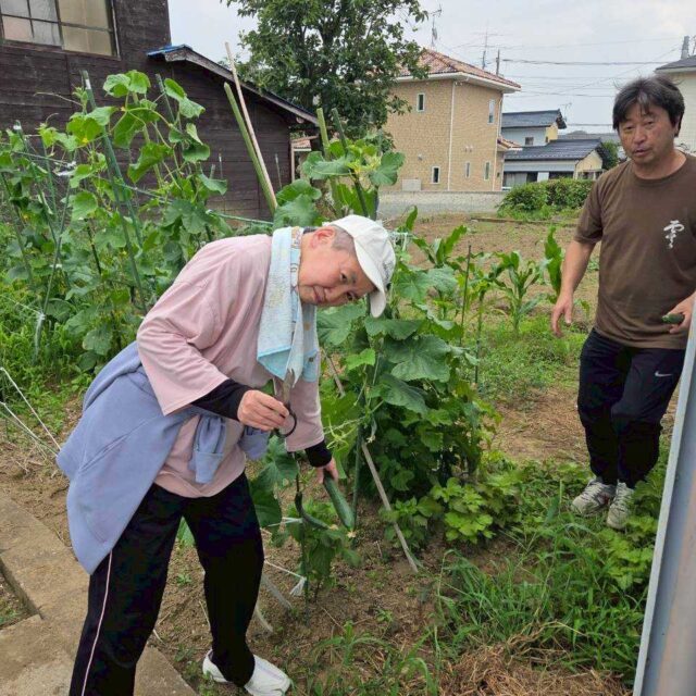 園芸まとめ※2026年7月13日~2026年8月21日